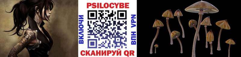 blacksprut зеркало дарнет шоп Ершов Галлюциногенные грибы мицелий