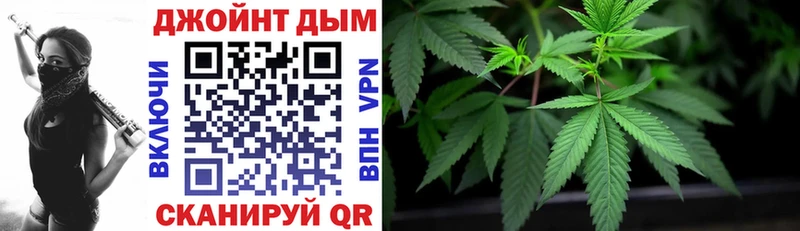 Канабис SATIVA & INDICA  Ершов 